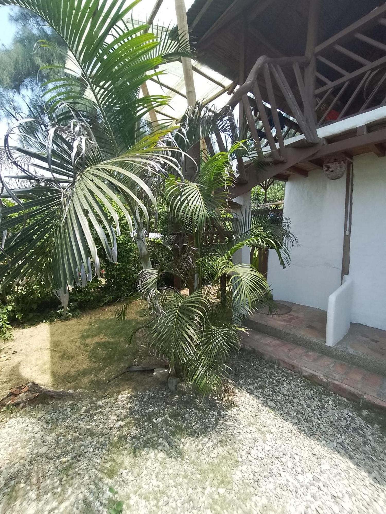 Hotel Palma Coco Ayampe Bagian luar foto